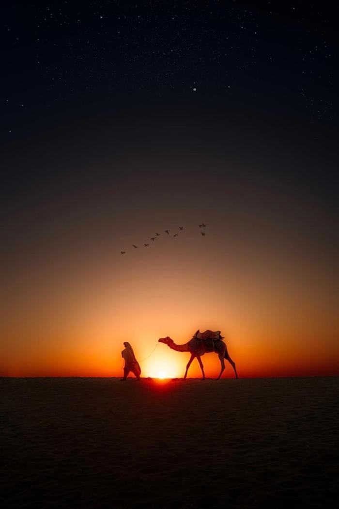 Desert Holiday Jaisalmer Exterior foto